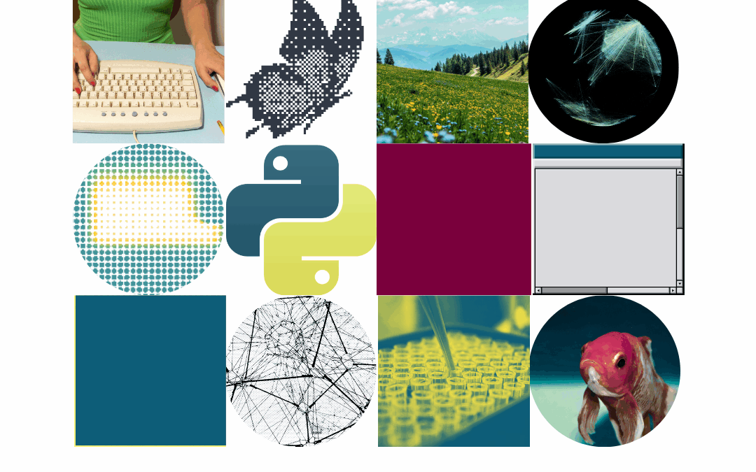 Sherman Centre for Digital Scholarship Socials